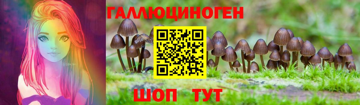 купить   Псилоцибиновые грибы Magic Shrooms  Вход с VPN  Галлюциногенные грибы Psilocybe  Тверь 